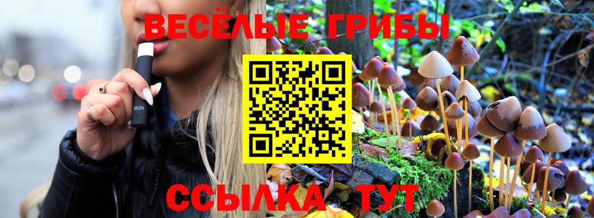 Галлюциногенные грибы MAGIC MUSHROOMS Великий Новгород