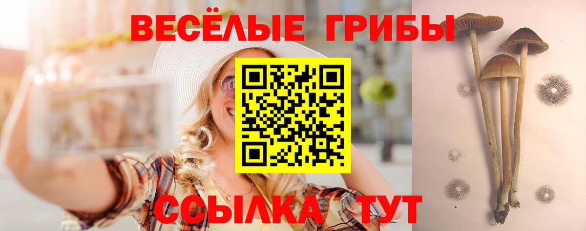 Псилоцибиновые грибы мухоморы  Вход с VPN  Великий Новгород 